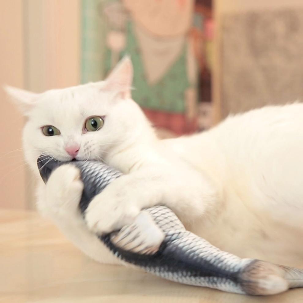 Moving Fish Cat Toy