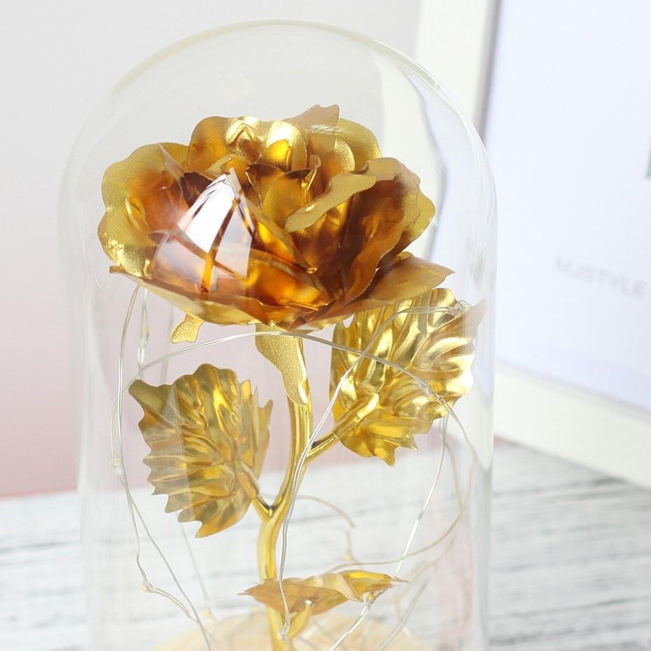 Beauty and Beast Rose