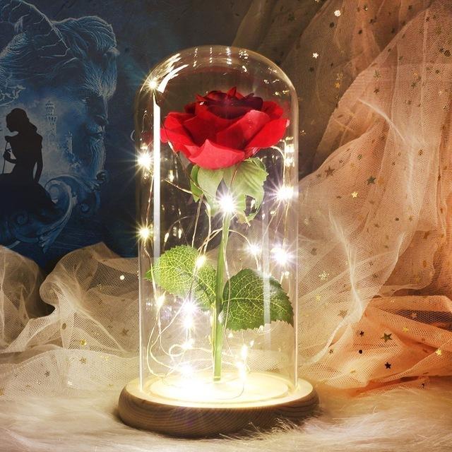 Beauty and Beast Rose